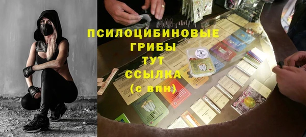 spice Козельск