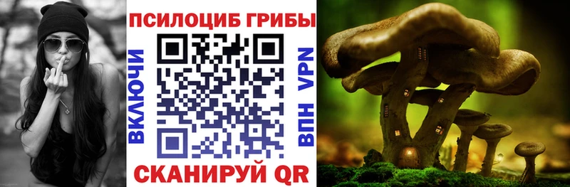 Галлюциногенные грибы Psilocybine cubensis  Лесозаводск 